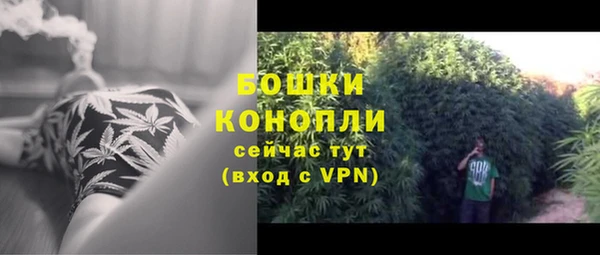герыч Пестово