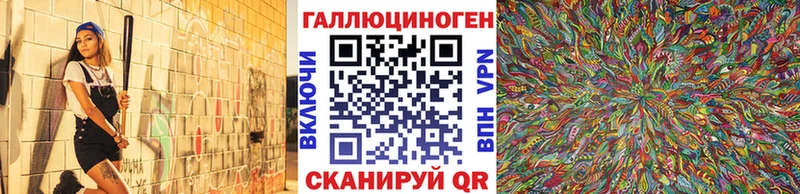 закладка Урень Галлюциногенные грибы Psilocybe